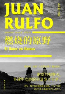 The Burning Field (rulfo Trilogy)