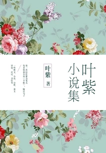 Ye Zi's Novel Collection