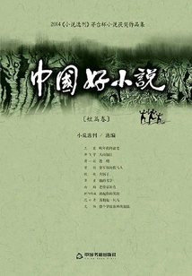 2014 Chinese Good Novels (short Stories)