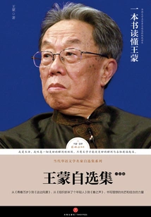 Selected Works of Wang Meng: Novels Volume