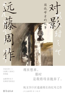 Opposite Shadows: Stories About Mothers