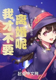 I Don't Want a Divorce