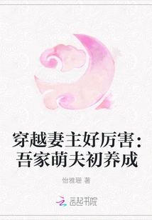 The Time-traveling Wife is so Awesome: My Cute Husband is Just Getting Married