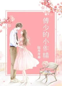 Mr. Fu's Little Genius