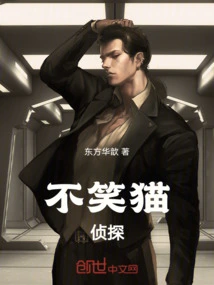 No Laughing Cat Detective