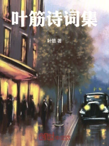 Ye Jin Poetry Collection