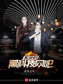 Systematic Black Technology Internet Cafe