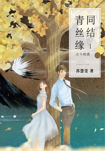 Tie Qingsi Yuan 1: Encounter between Ancient and Modern Times