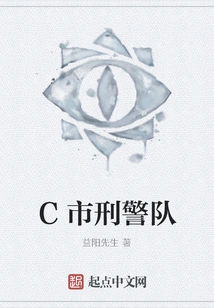 C City Criminal Police Team