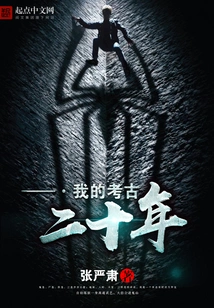 Twenty Years of My Archeology