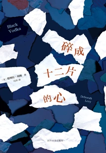 A Heart Broken into Twelve Pieces