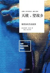 Angel, Looking at Hometown (complete Collection)