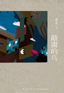 Bird Knocking on Window