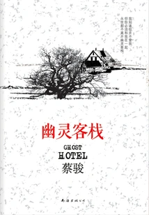 Ghost Inn (work by Cai Jun)