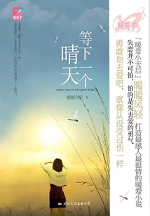 Wait for the Next Sunny Day