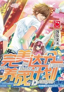 Perfect Darling Development Plan