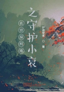 Detective Conan: Guardian Xiao Ai