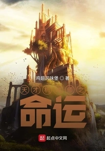 The Fate of a Genius Mechanic