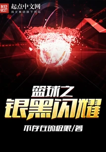 篮球之银黑闪耀