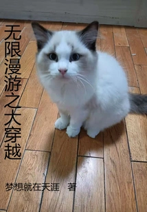 The Great Time Travel of Infinite Roaming