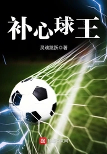 补心球王