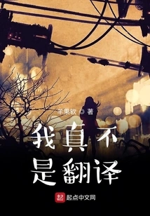 I'm Really Not a Translator