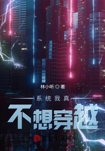 I Really Don't Want to Travel Through the System