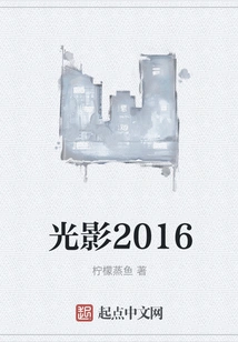 Light and Shadow 2016