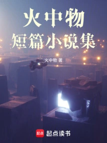 Objects in Fire Short Story Collection