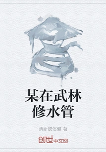 Someone is Repairing Water Pipes in Wulin