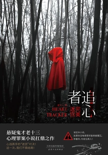 Heart Chaser: the Perfect Maze