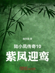 The Legend of Lu Xiaofeng 10: Purple Phoenix Welcomes Luan