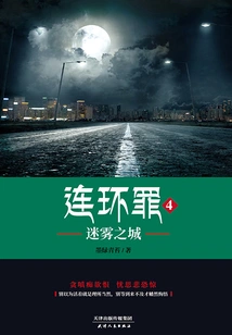 Serial Crime 4: City of Mist