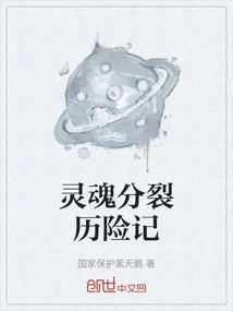 Adventures of Split Souls