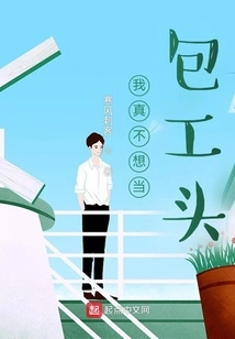 I Really Don't Want to Be a Contractor