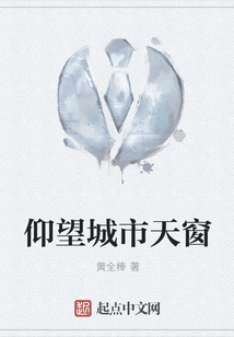 Looking up at the City Skylight