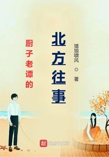 Chef Lao Tan's Past in the North