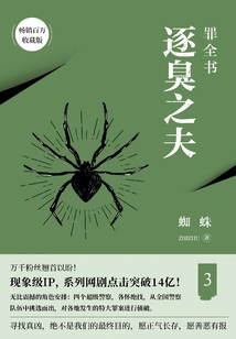 Sin Book 3: Chasing the Stinky Husband