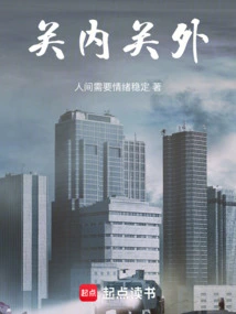 Inside and Outside the Customs