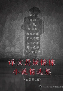 A Collection of Translated Suspense and Thriller Novels (a Set of 9 Volumes in Total)