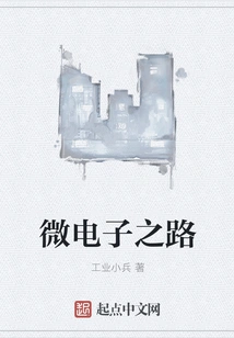 The Road to Microelectronics