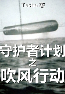 Project Guardian: Operation Blowing Wind