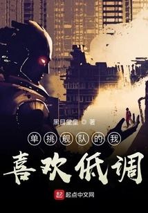 I Like to Keep a Low Profile When Fighting Against Fleets