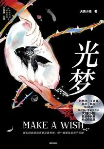 Light Dream (chinese Science Fiction Cutting-edge Series)