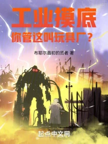 Industrial Survey, Do You Call This a Toy Factory?