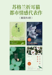 Scottish Fold Cat Urban Emotions Masterpiece (set of 4 Volumes in Total)