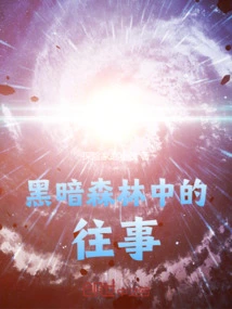 Past Events in the Dark Forest