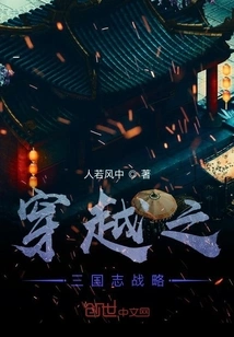 Time Travel Strategy of the Three Kingdoms