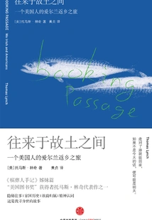 Traveling to and from Home: an American's Journey Home to Ireland