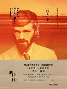 In a Fury: Fighting with D. H. Lawrence